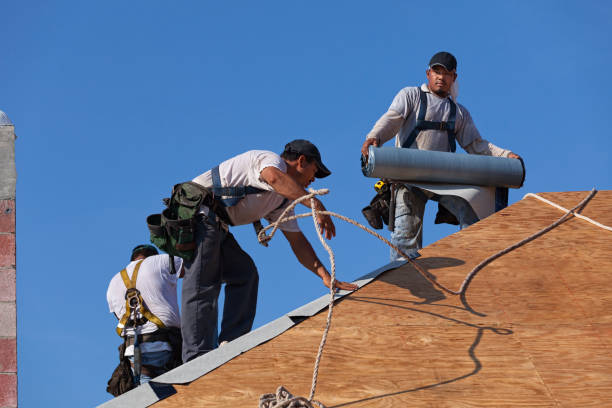 Roof Gutter Cleaning in Flying Hills, PA