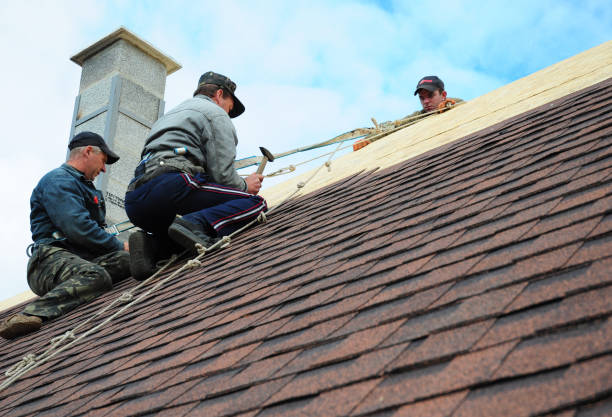 Best Roof Maintenance Services  in Flying Hills, PA
